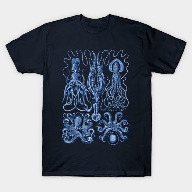 Ernst Haeckel Gamochonia Octopus Blue T-Shirt by Scientistudio